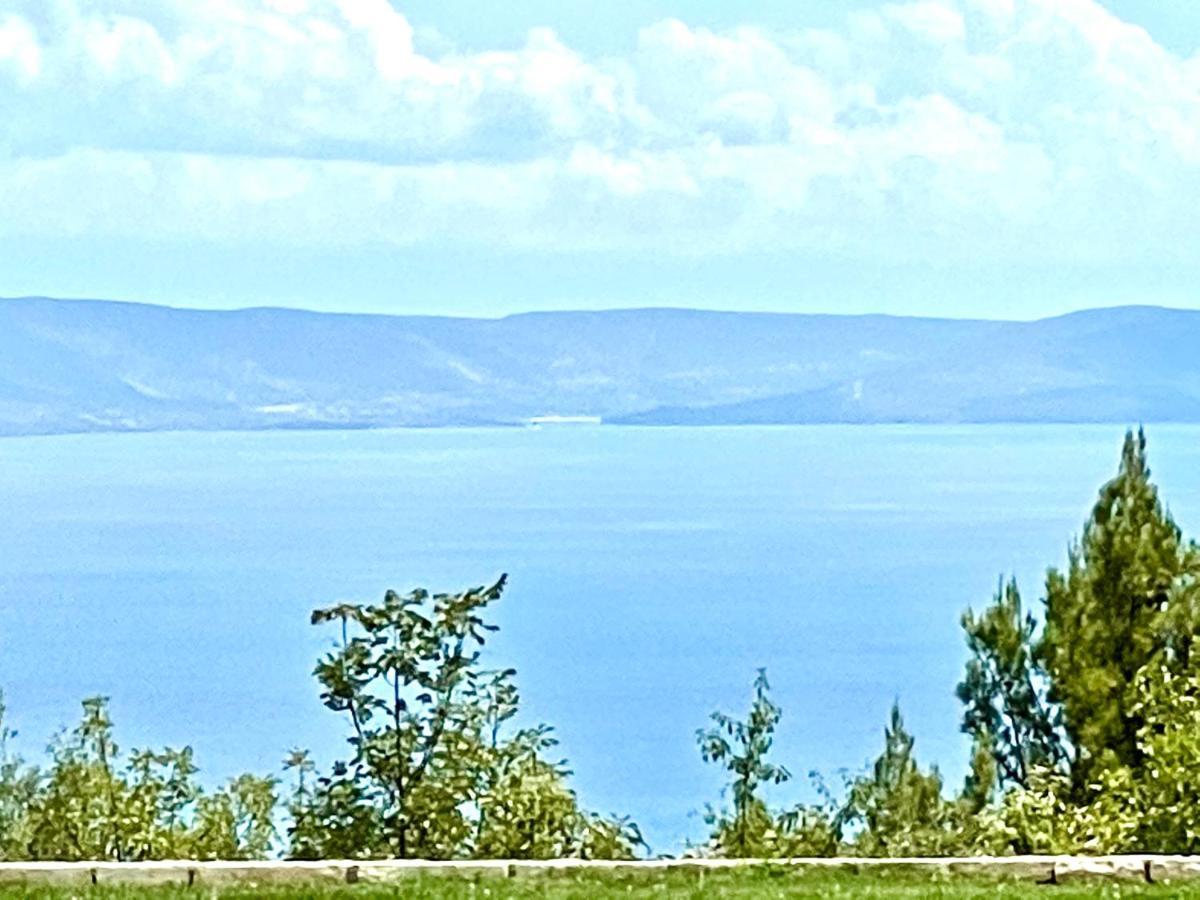 Luxury Panorama Vila With Amazing Seaview In Gondolici 7 Km From Rabac Labin  Buitenkant foto